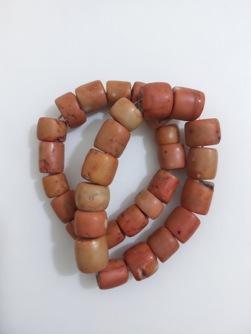 Coral Bead
